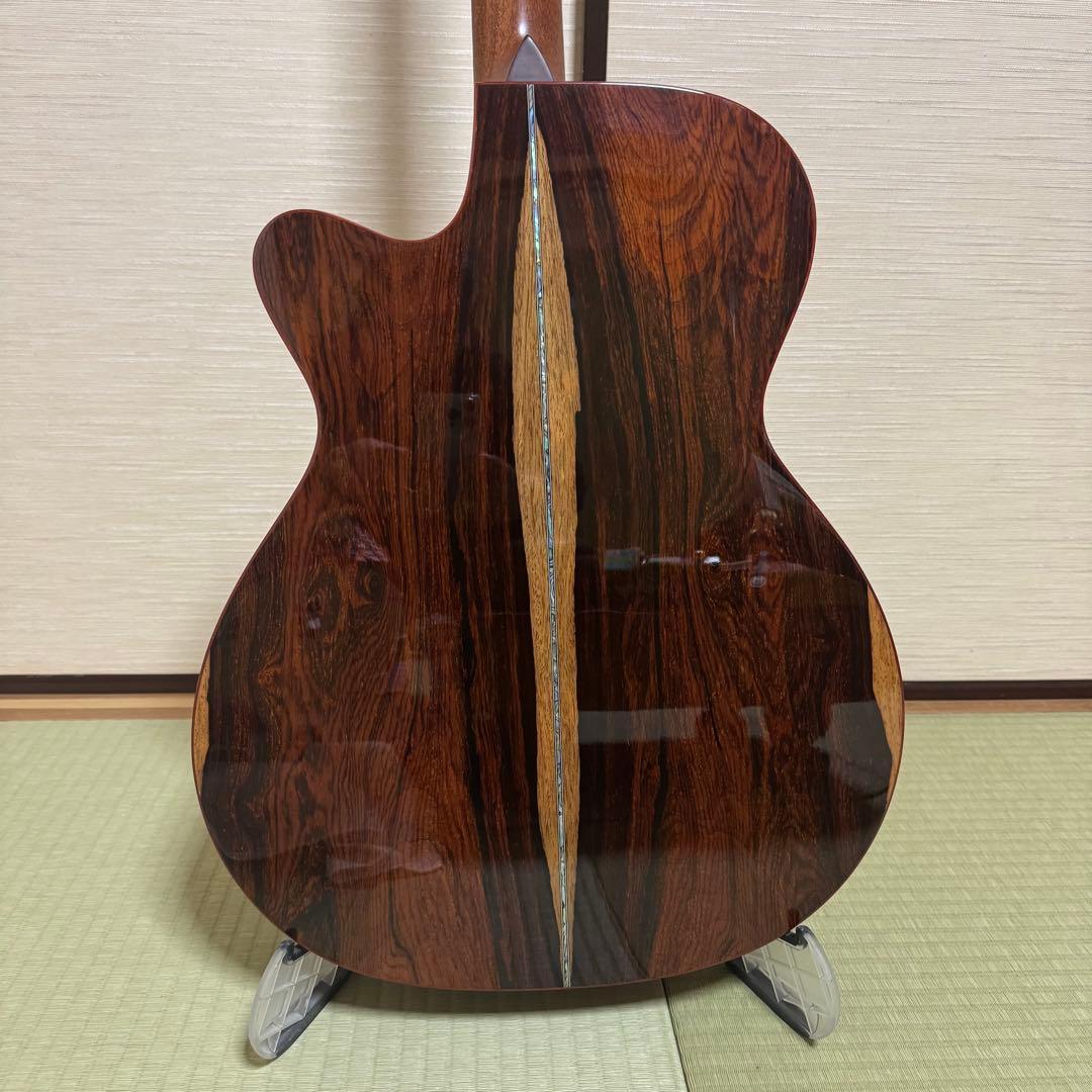 Ayers アコースティックギター CustomShop 限定版 ココボロ 錦鯉
