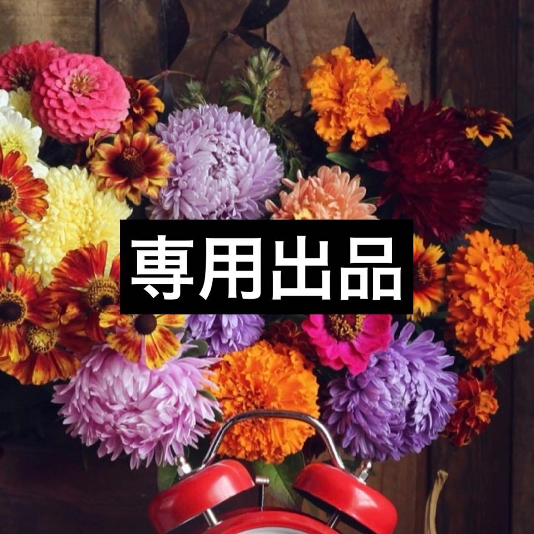 専用価格　出品