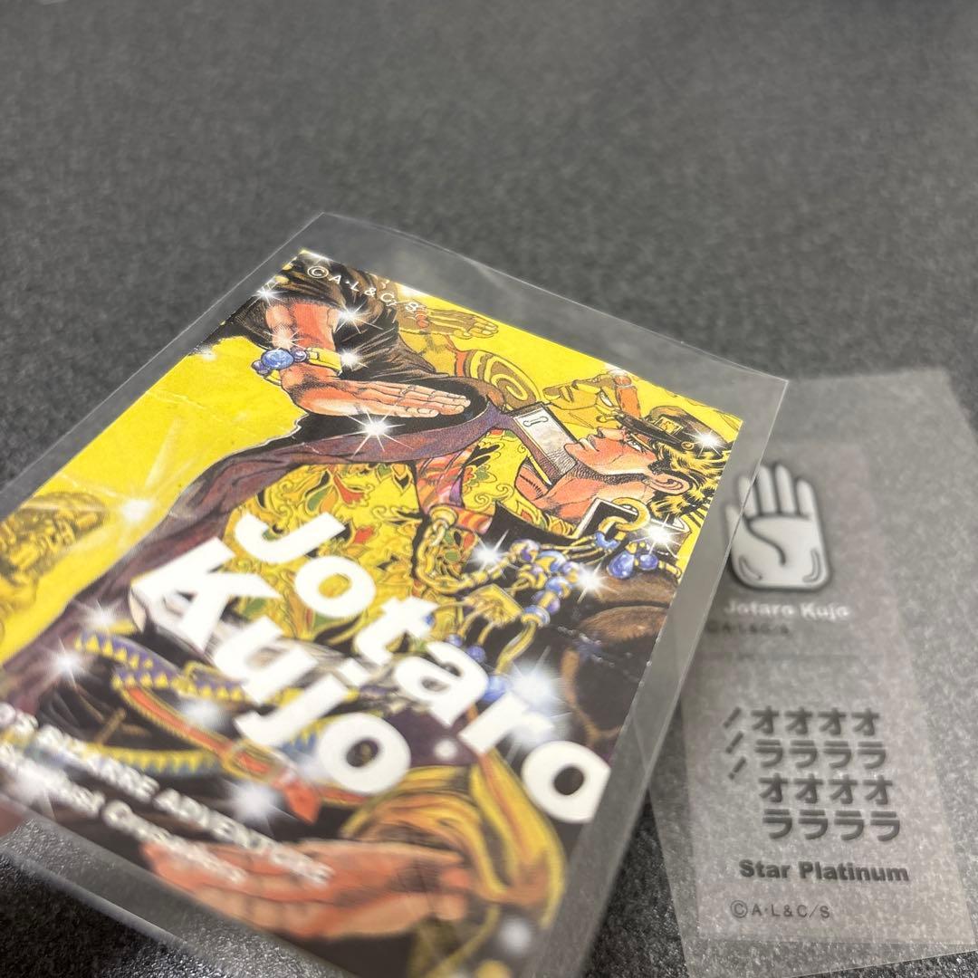 ジョジョ　リアルペイントシート　承太郎