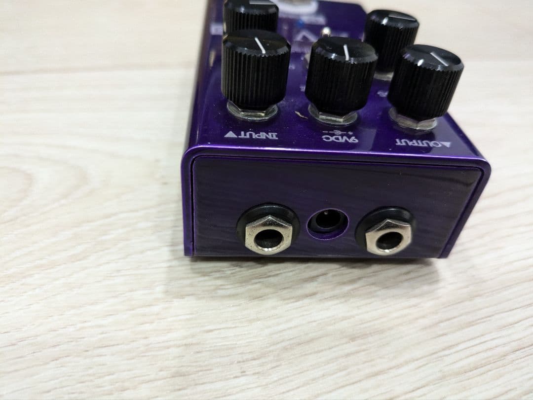 ゴーヤー58　REVV G3