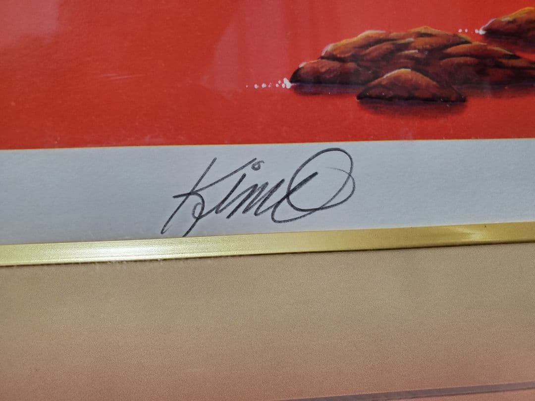 【特価】キモ　レッドオーシャン