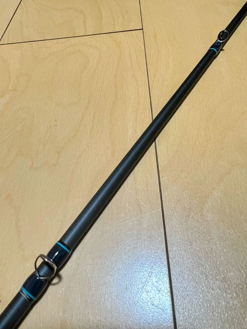 デジーノ レイス イレスト LW-C70XHRX4s EVA 極美品