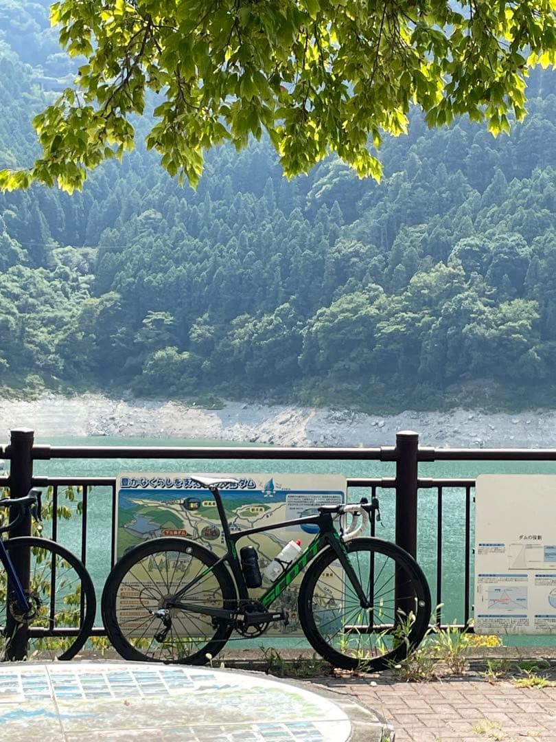 パーツ SCOTT FOIL TEAM ISSUE XS