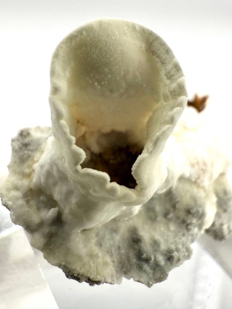 アラゴナイト　カップ　原石　鉱物標本　天然石　石　霞石