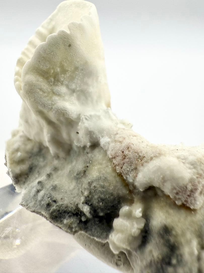 アラゴナイト　カップ　原石　鉱物標本　天然石　石　霞石