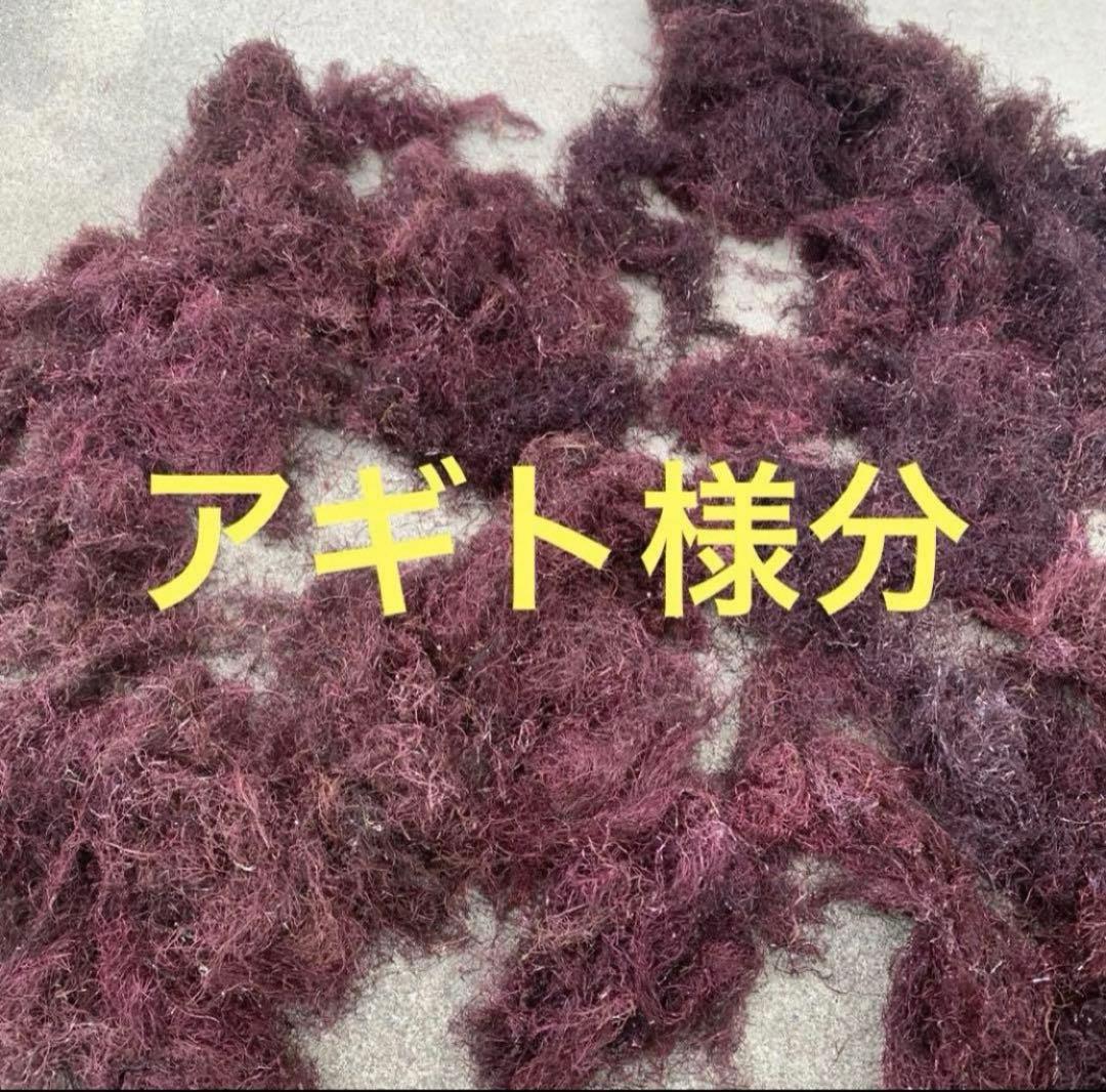 乾燥天草 あぎと5.5キロ