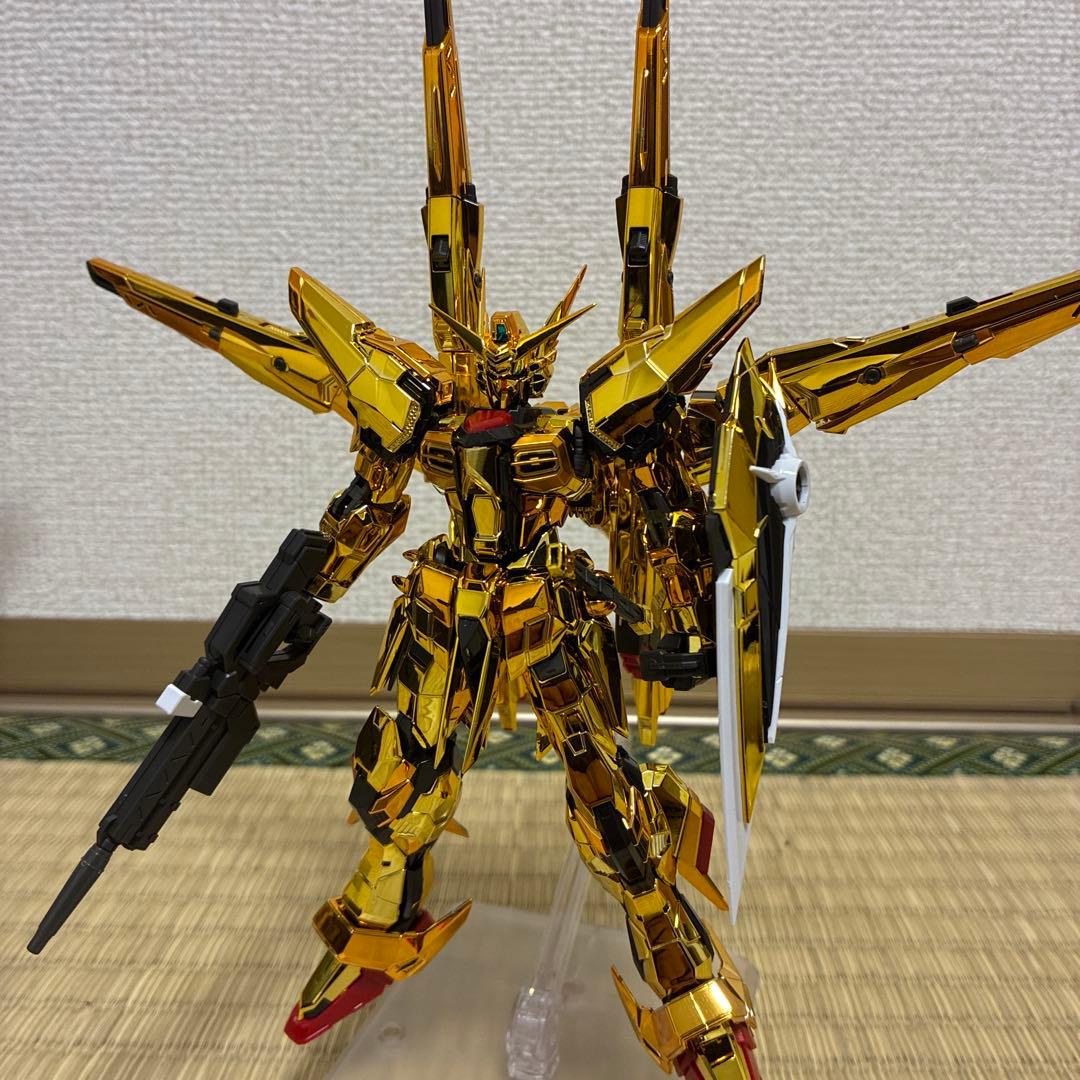 HG デスティニー　ゼウスシルエット　RGアカツキ　オオワシ　シラヌイ　完成品