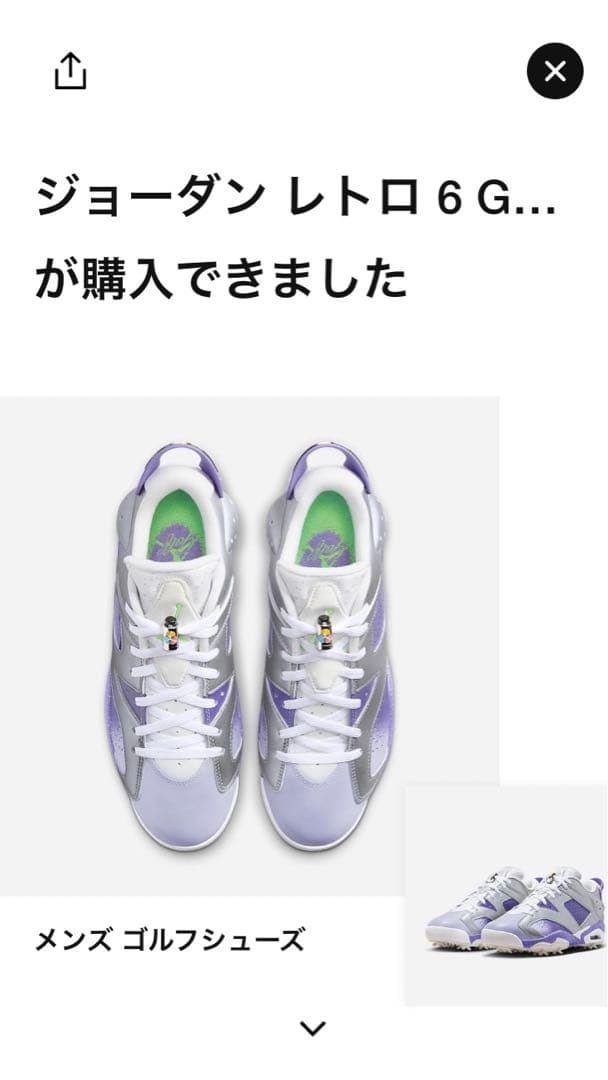 ジョーダン6 レトロ ゴルフ　29cm