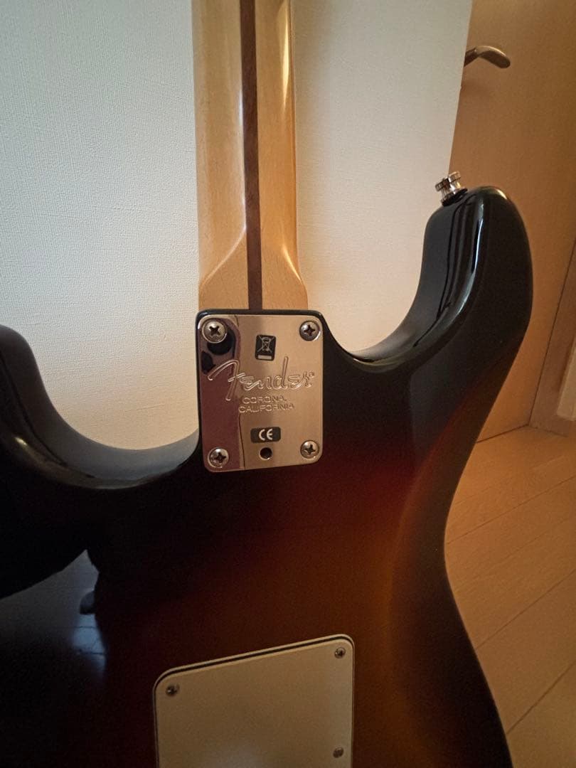 Fender USA Stratocaster アメリカンスタンダード