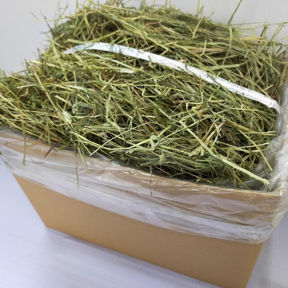 【12/30まで】US産 チモシー 100kg ２番刈り ソフトSプレミアム