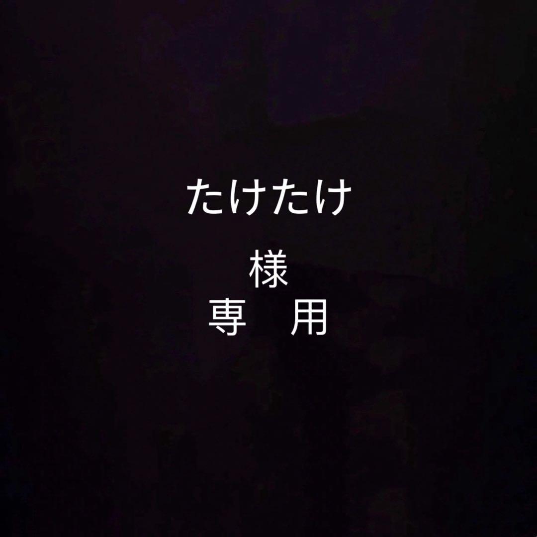 たけたけページ　ワンピースフィギュア