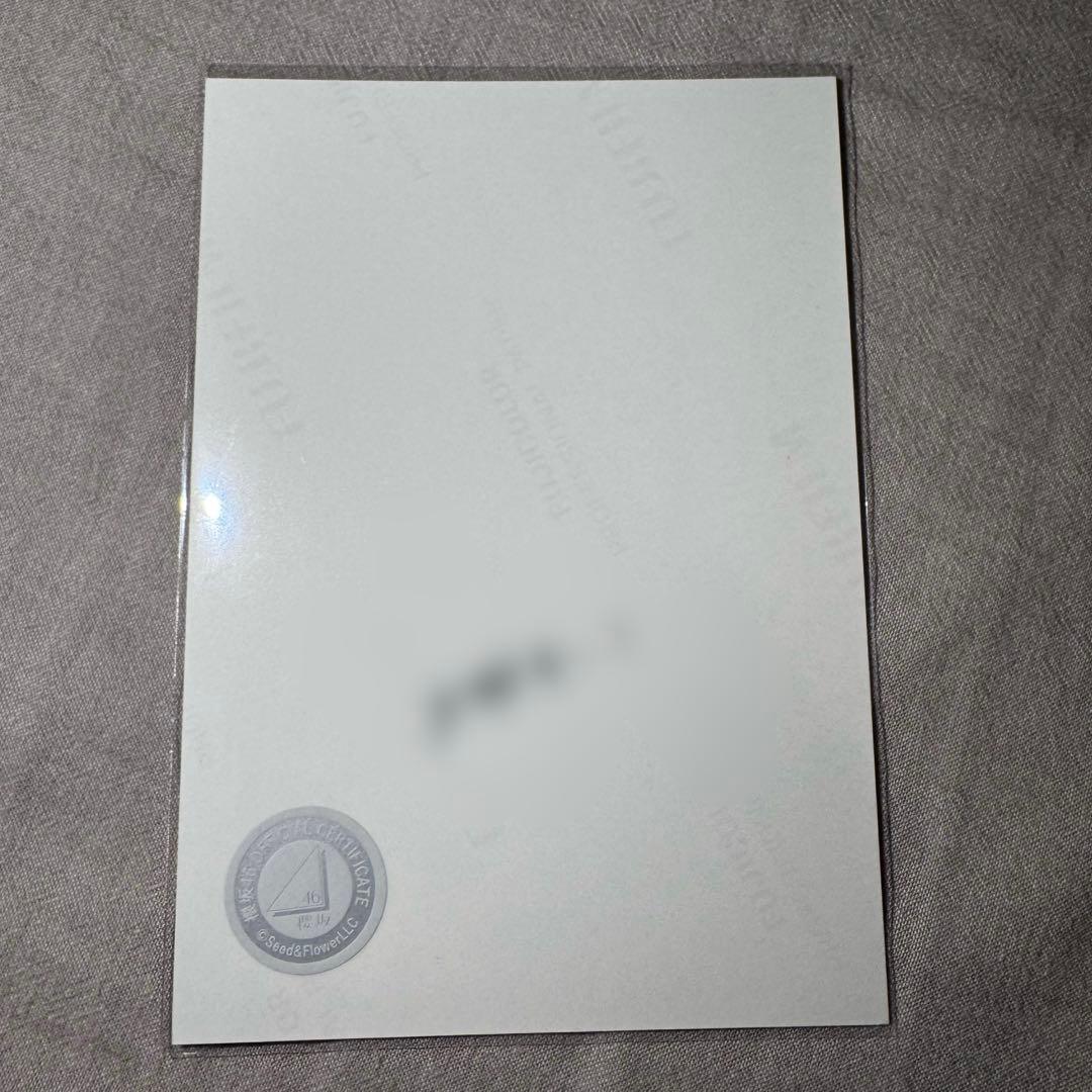 櫻坂46 Buddies感謝祭25 生写真 サンタ 座り 直筆サイン 増本綺良