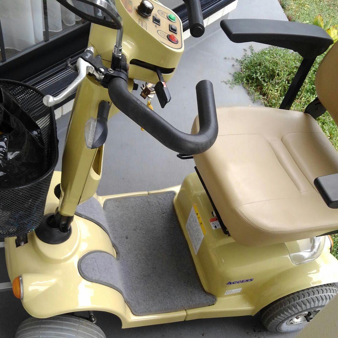 Paseliの電動カート