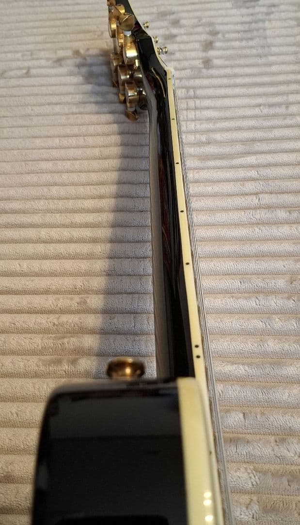 Pignose Guitar 純正ケース付き ピグノーズブロックインレイ ギター