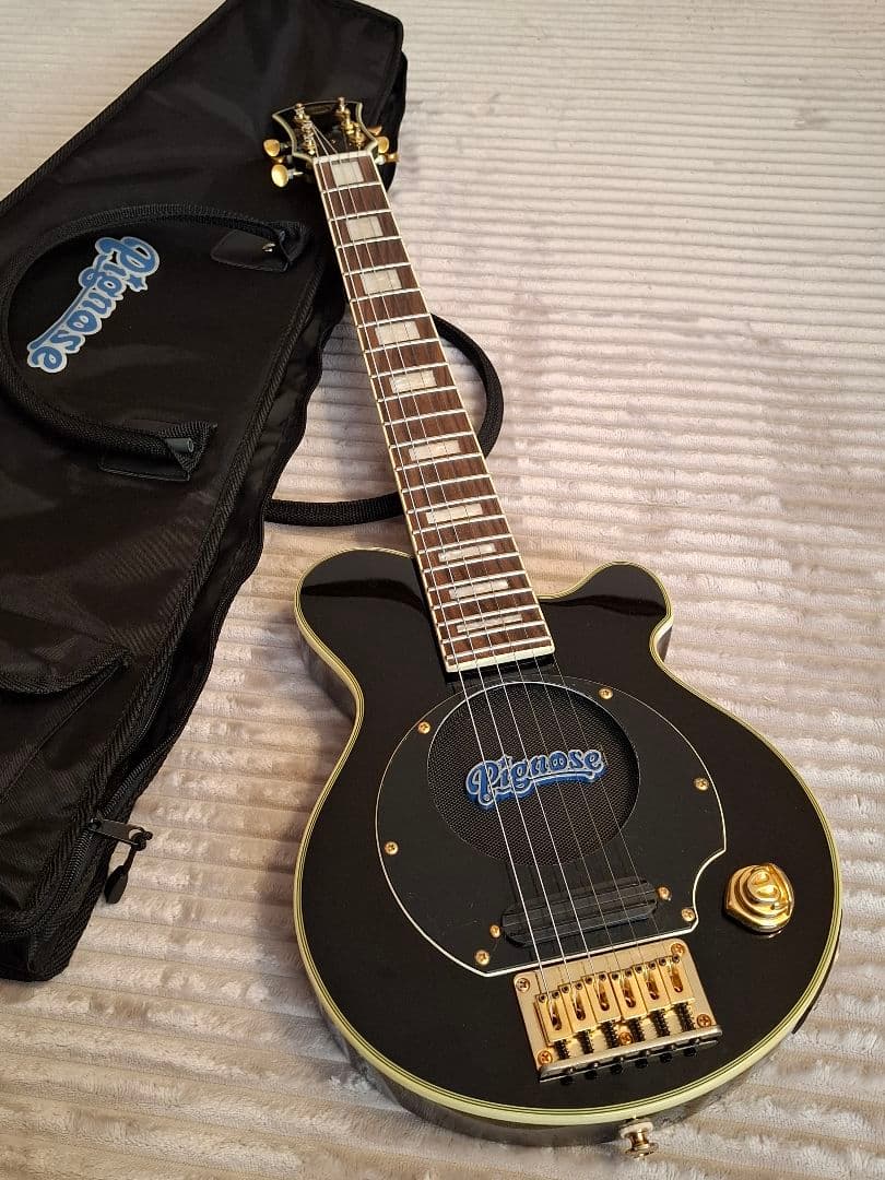 Pignose Guitar 純正ケース付き ピグノーズブロックインレイ ギター