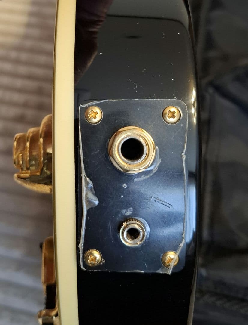 Pignose Guitar 純正ケース付き ピグノーズブロックインレイ ギター