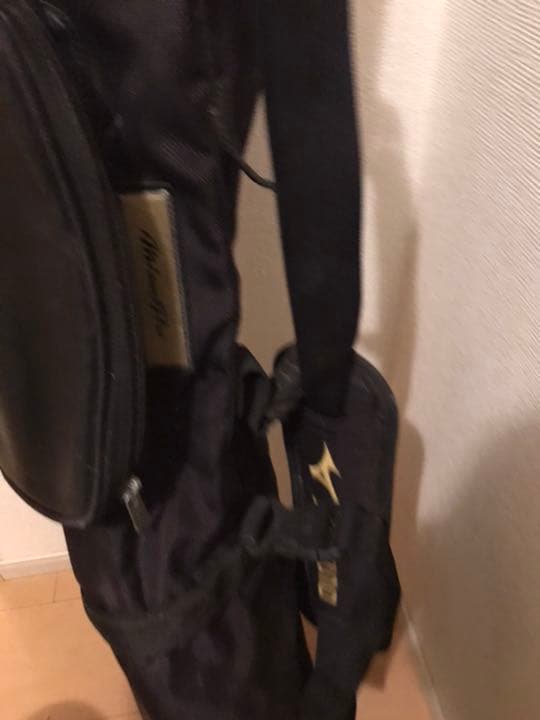ミズノプロ、バットケース