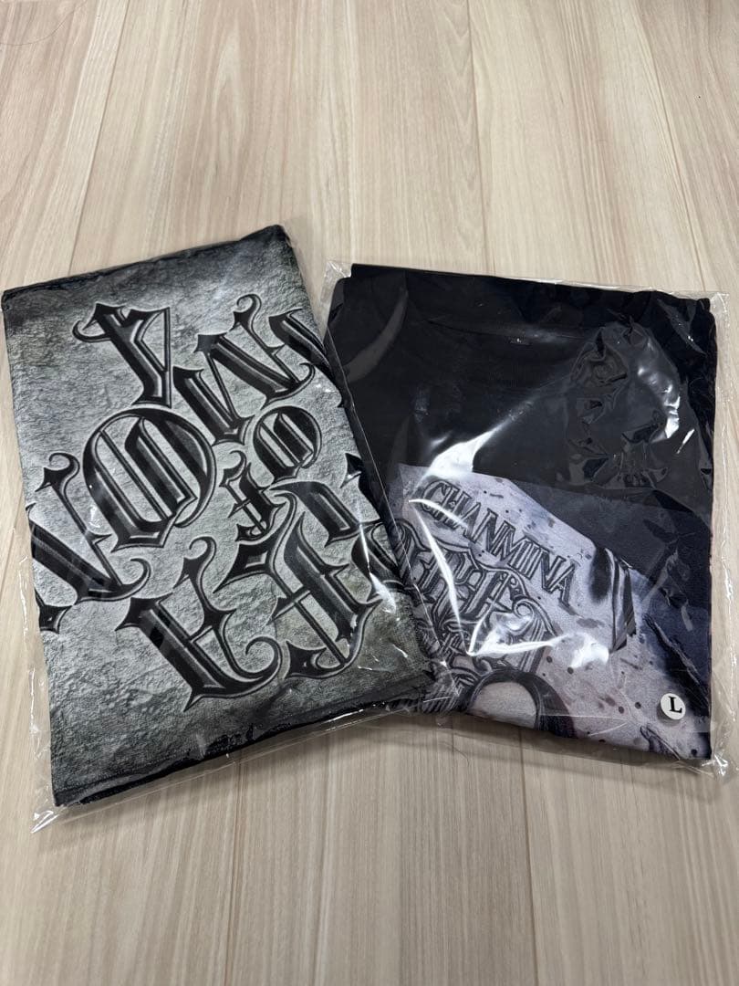 ちゃんみな AREA OF DIAMOND 4 Tシャツ Lサイズ、タオル