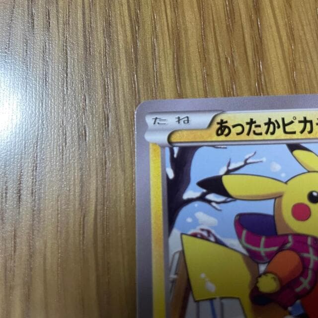 あったかピカチュウ 094XY-P