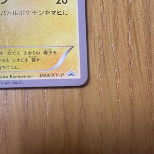 あったかピカチュウ 094XY-P