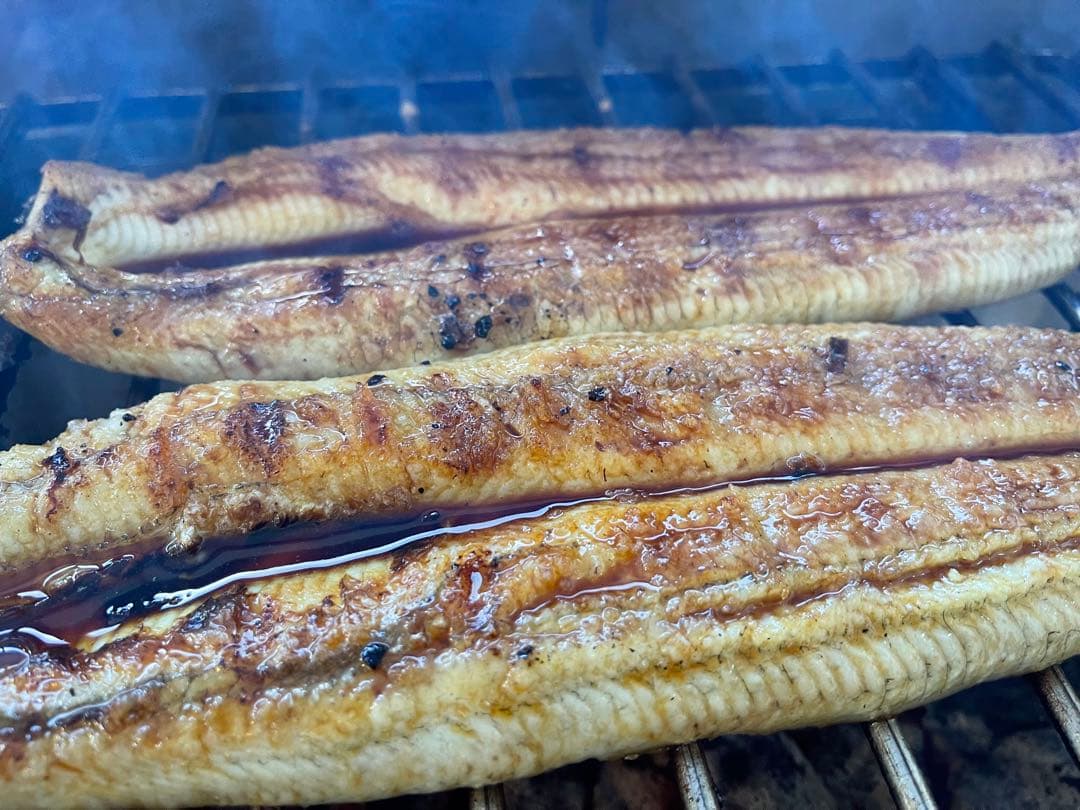 【新仔うなぎ】大サイズ140g -170g　三河一色産　6尾セット 国産うなぎ