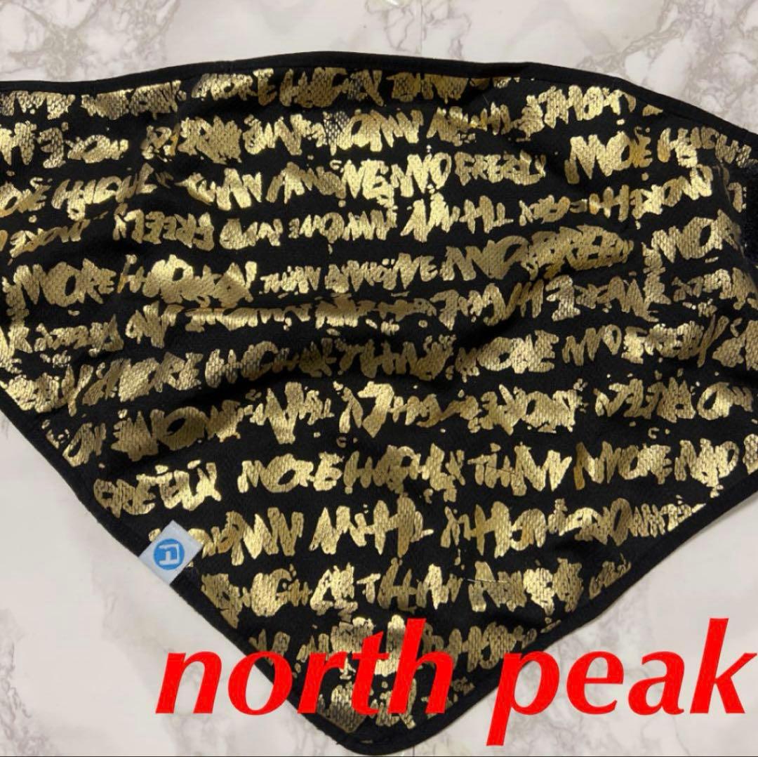 sands スノーボード ウェアセットアップ グローブ フェイスマスク付き！