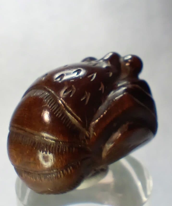 柘植彫 根付 「伊勢海老」 江戸時代