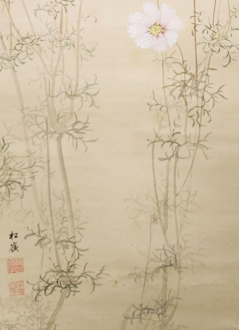 【コスモス図】田場松嶺 2670 掛け軸　肉筆