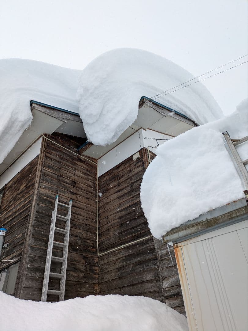 頑張ろ福島　令和７年度産会津コシヒカリ20キロ