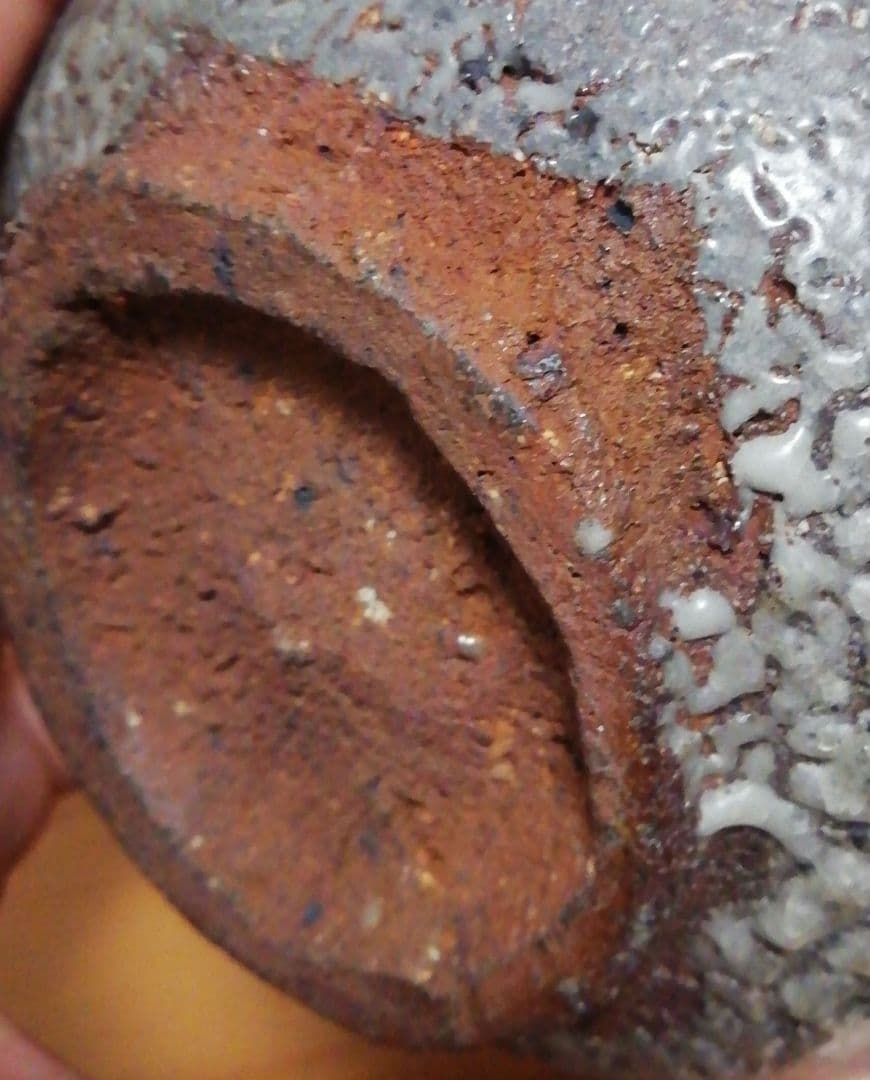 中川自然坊作　唐津焼　皮鯨　茶碗　箱付　茶道具