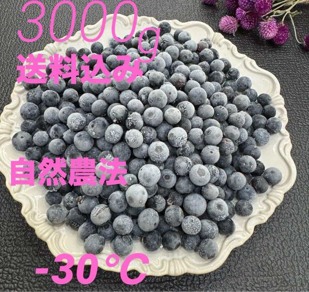 ハニー農園　冷凍ブルーベリー ３キロ