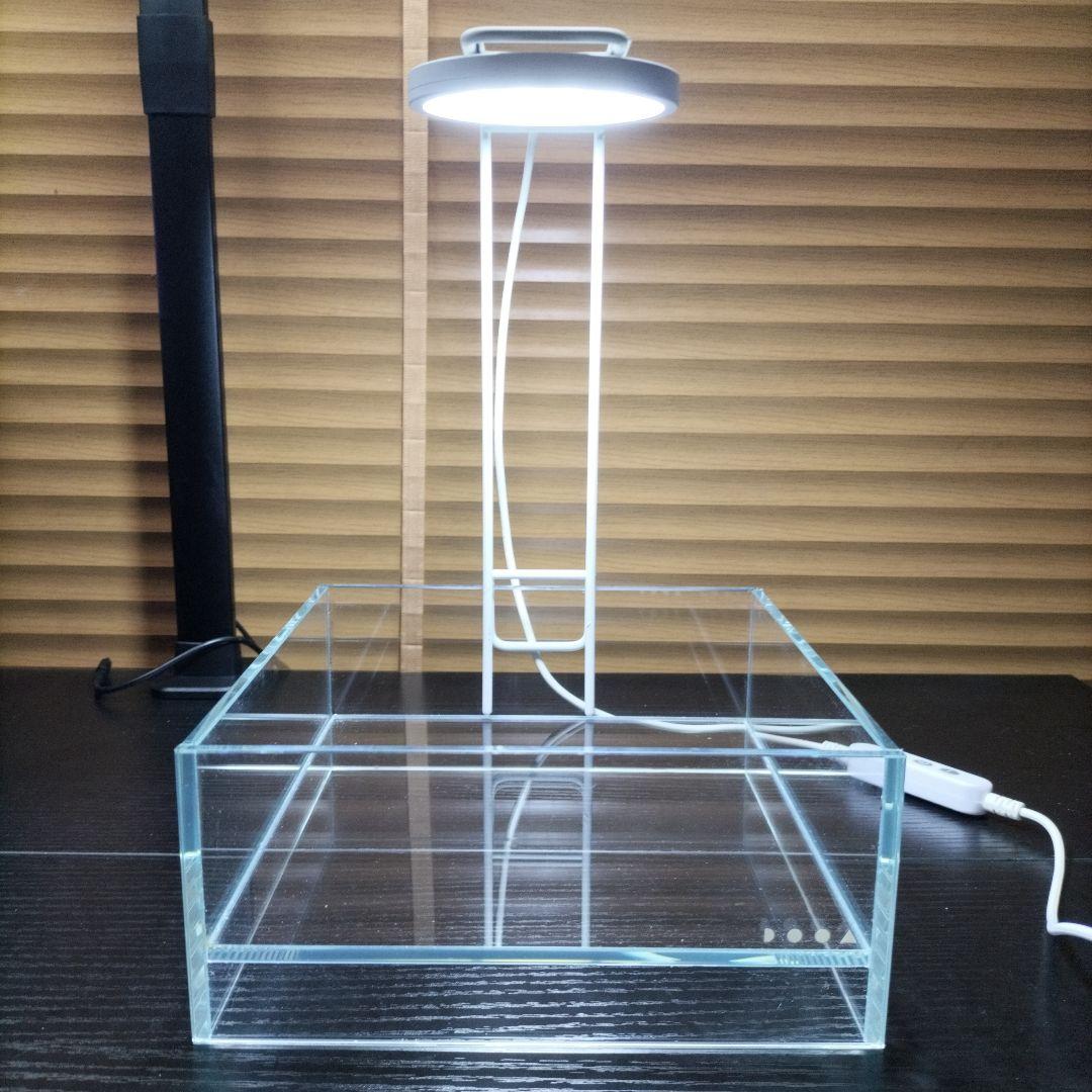 ​【美品・使用3ヶ月】DOOA ネオグラスエア 　 ライトアーム、ライトのセット