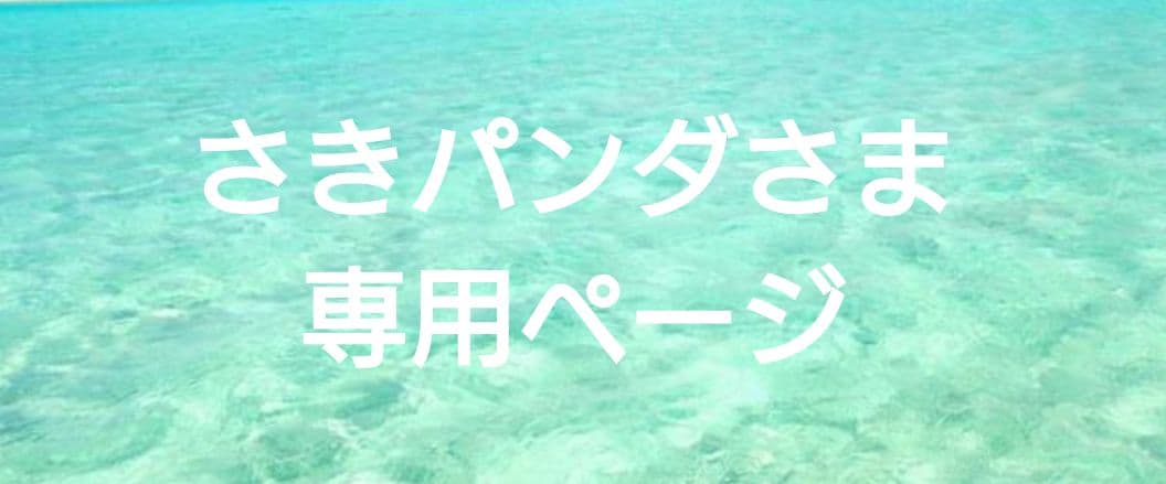 さきパンダさま専用ページ 非常食 セット