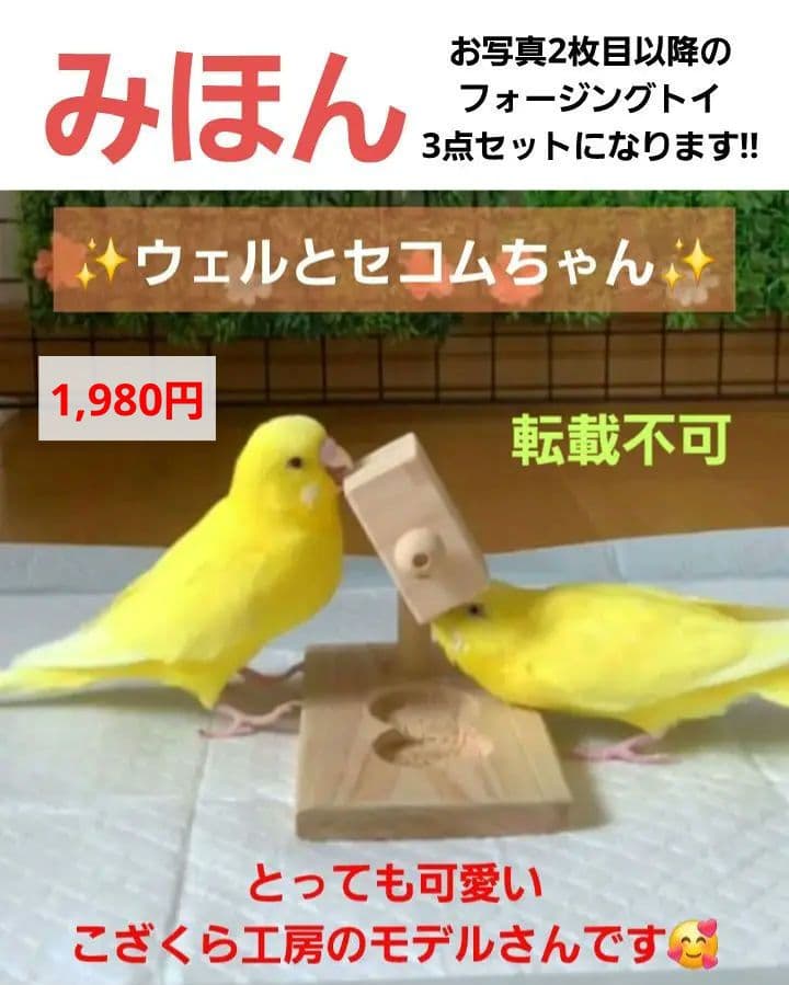 A8　くるくるフォージントイ3点イセット　バードトイ　難易度高め⭐⭐