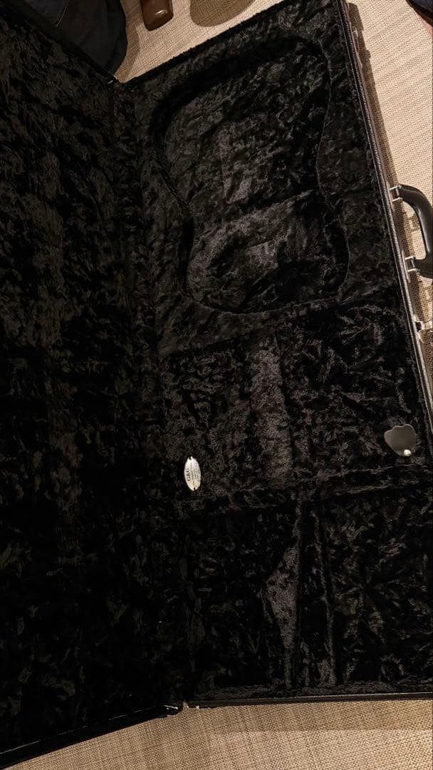 Bruno guitars tn−295 goldtop