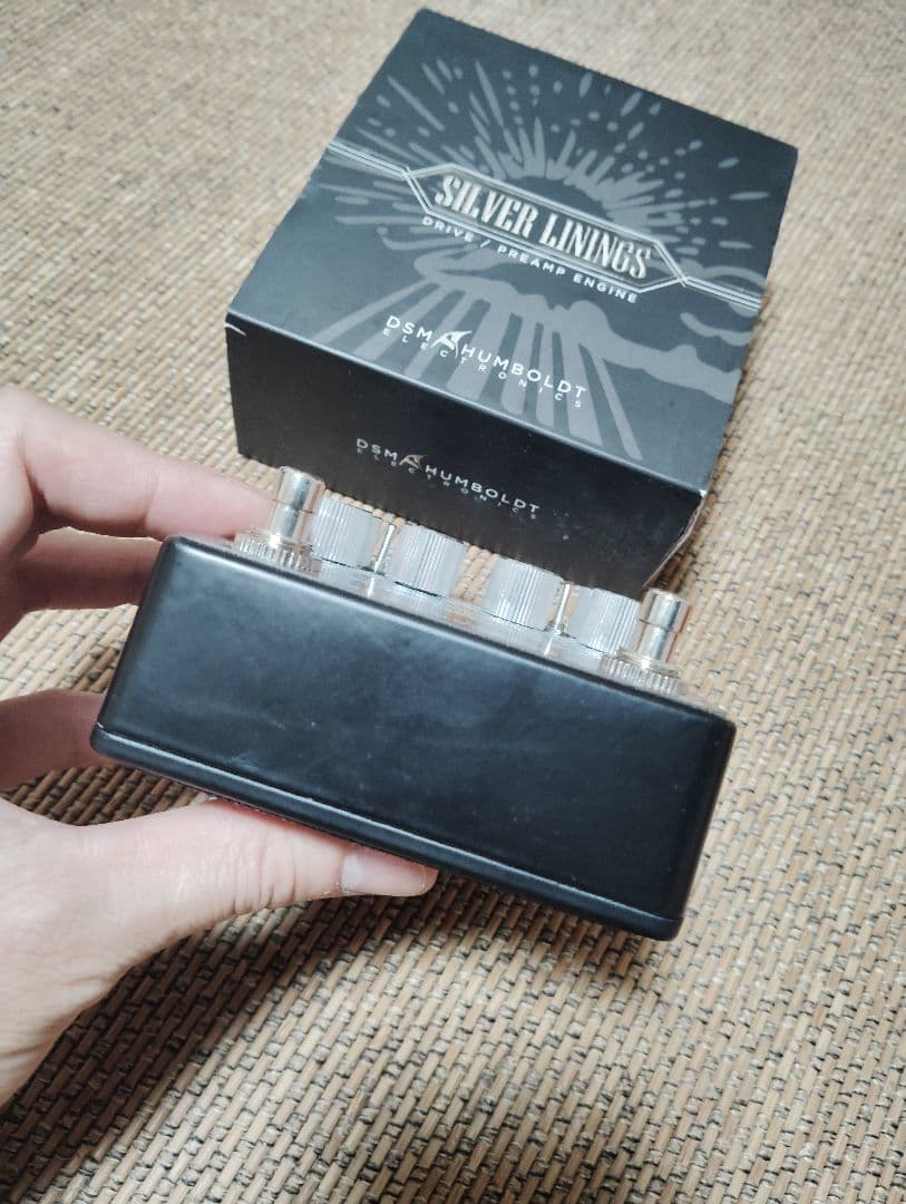 ギター DSM HUMBOLT SILVER LININGS