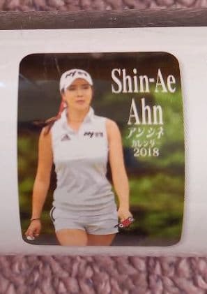 【未開封新品】アンシネ　2018壁かけカレンダー