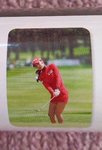 【未開封新品】アンシネ　2018壁かけカレンダー