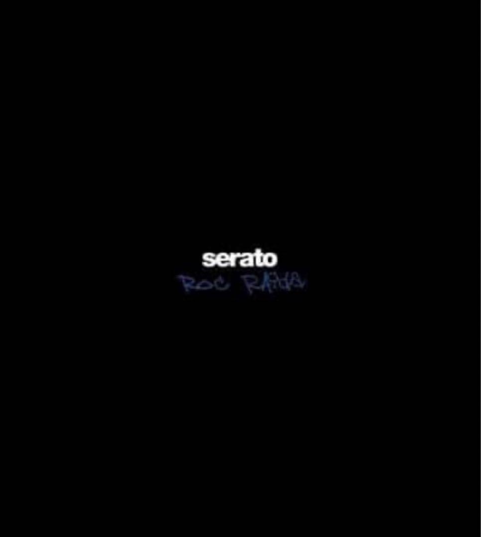 Roc Raida 追悼 Serato コントロール ビニール ロイヤル ブルー