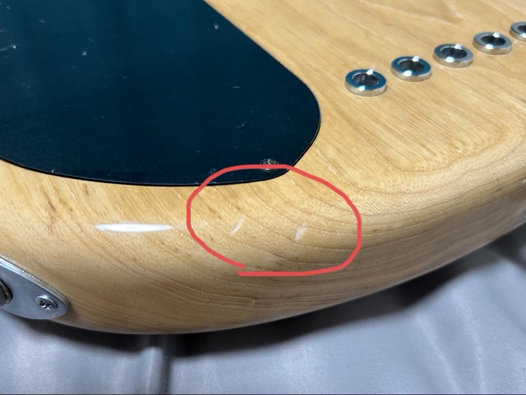 ベース dragonfly CS-5