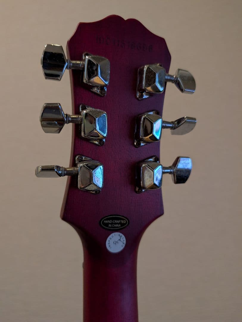 Epiphone Les Paul Special　ソフトケース付き