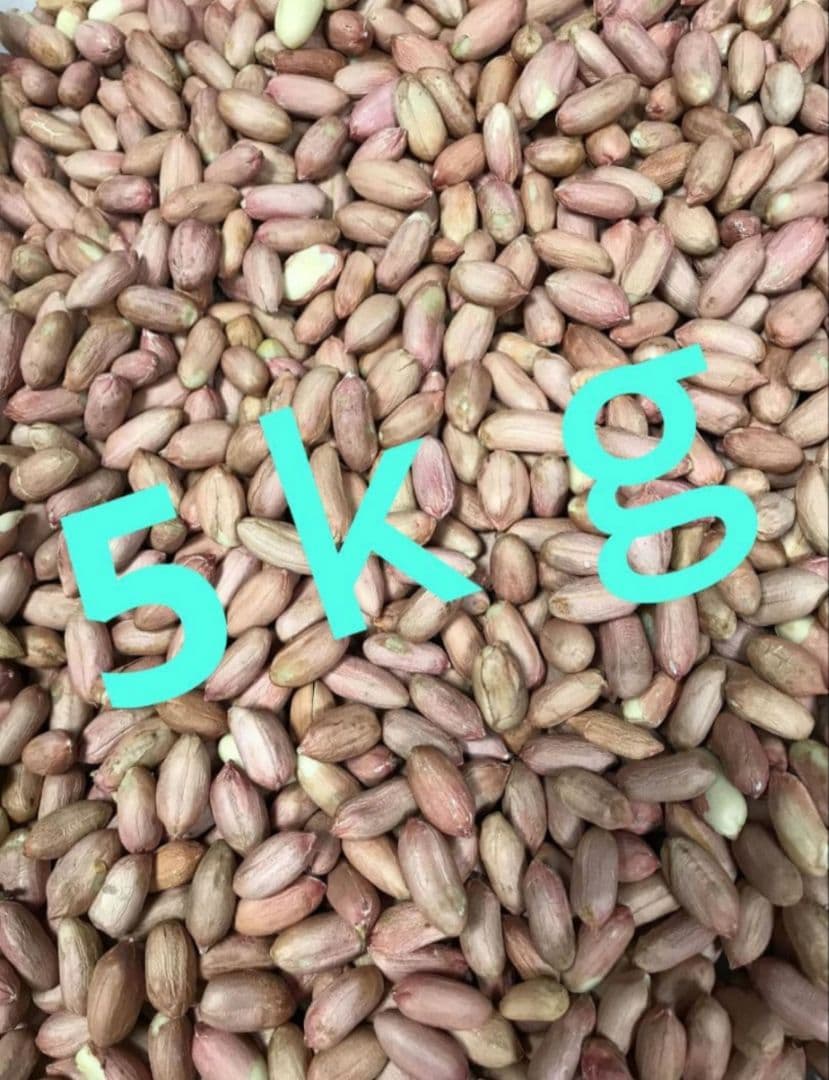 農家直送千葉生落花生訳あり5kg