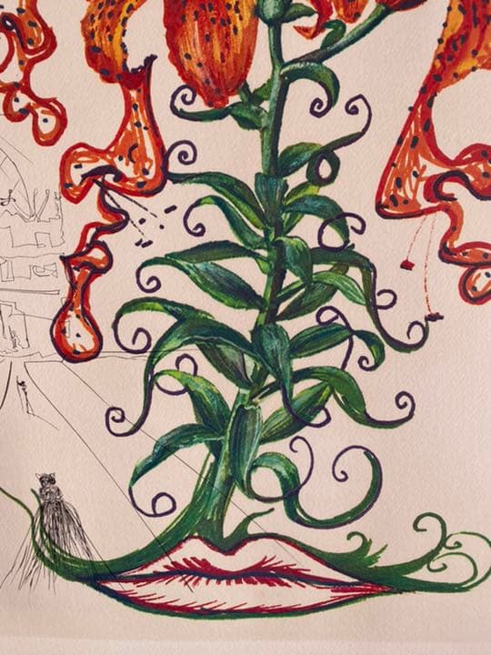 サルバドール・ダリ銅版画 「タイガーリリー虎百合」1972年作品 ダリ直筆サイン