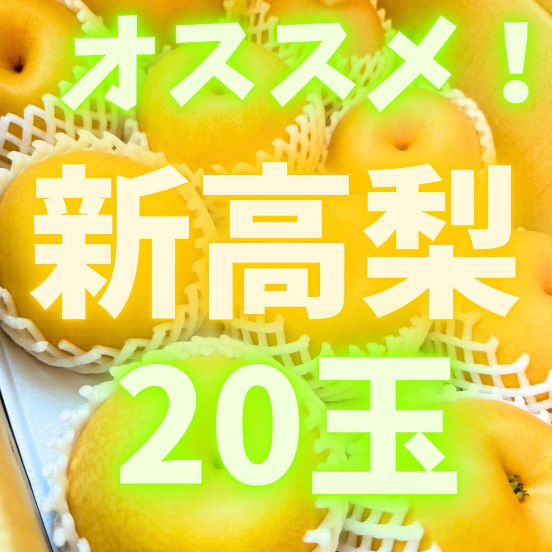 梨　新高梨　10玉を2箱　04