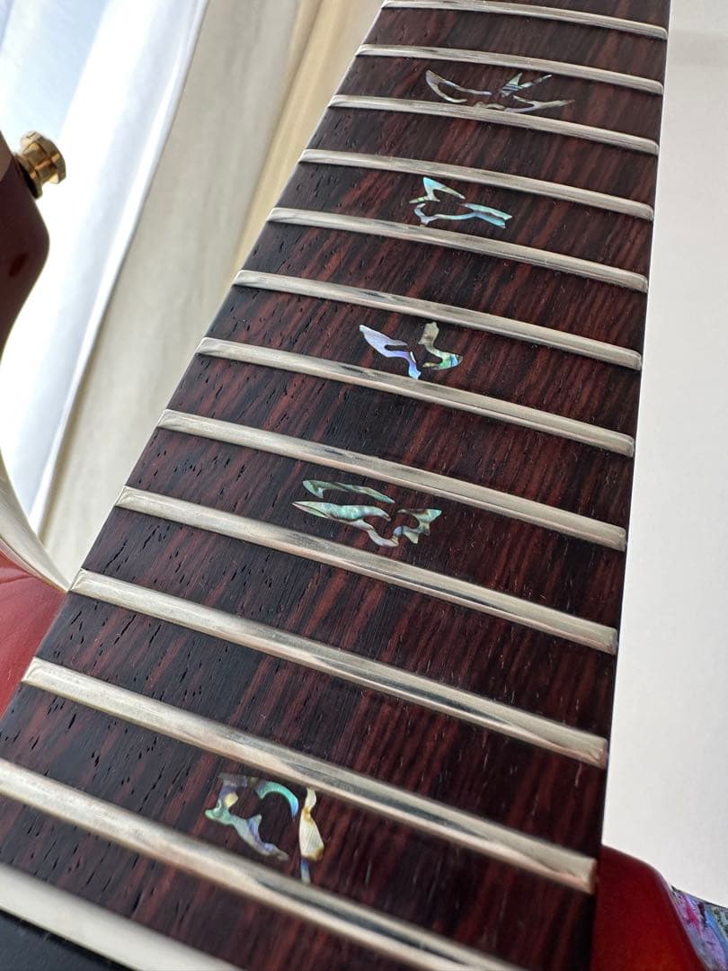 PRS Wood Library Custom24 1pトップ ハカランダ指板