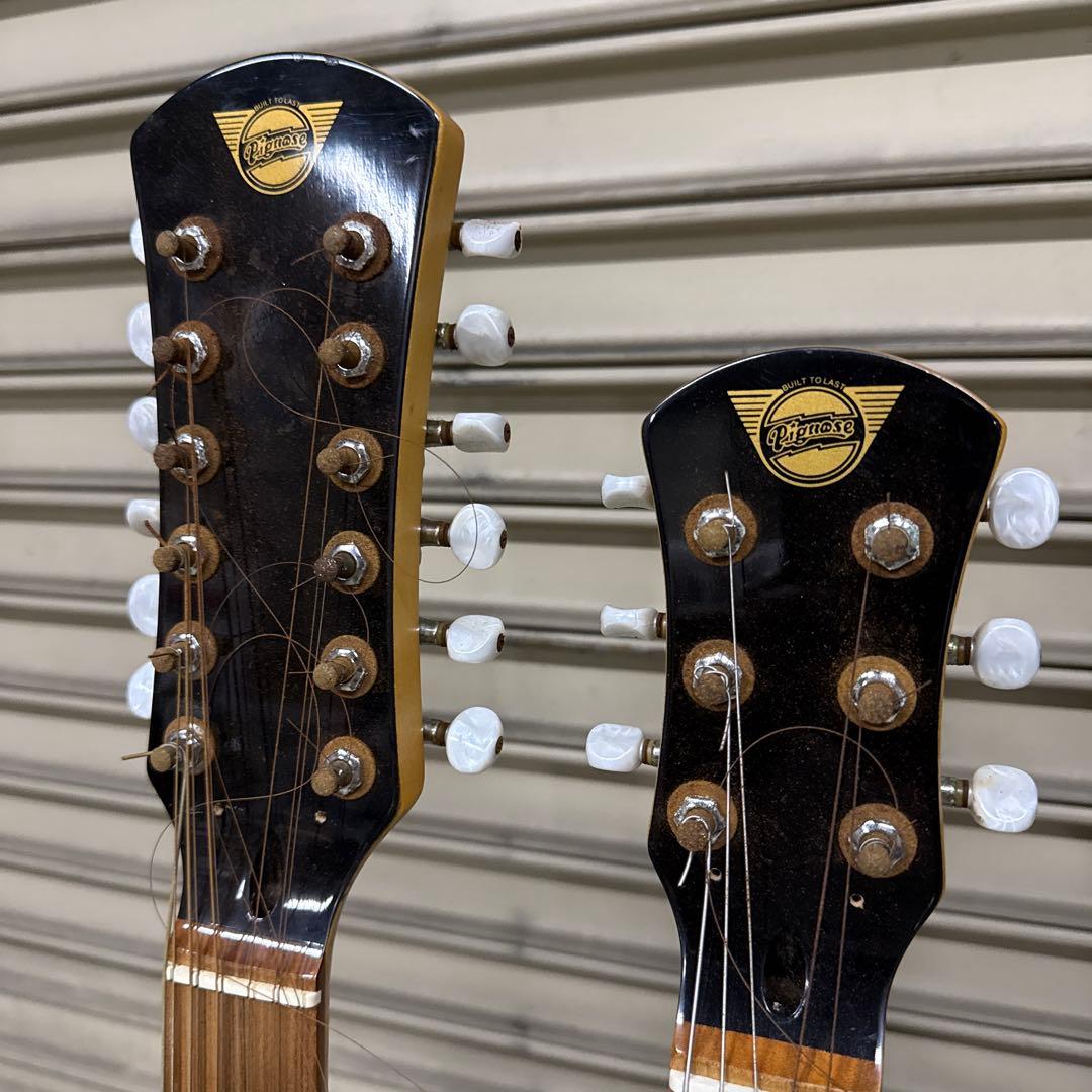 ギター Pignose PGG-TWIN