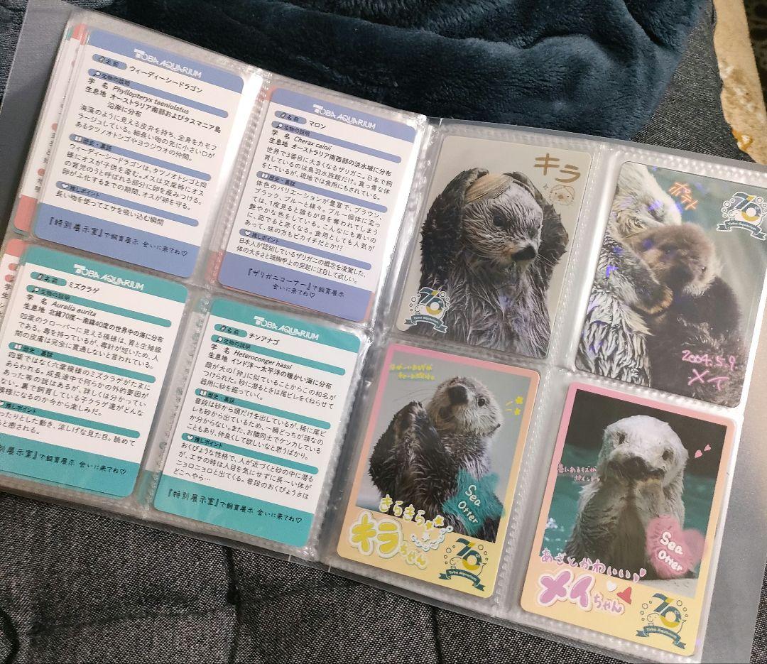 鳥羽水族館　コレクションカード　コンプリート