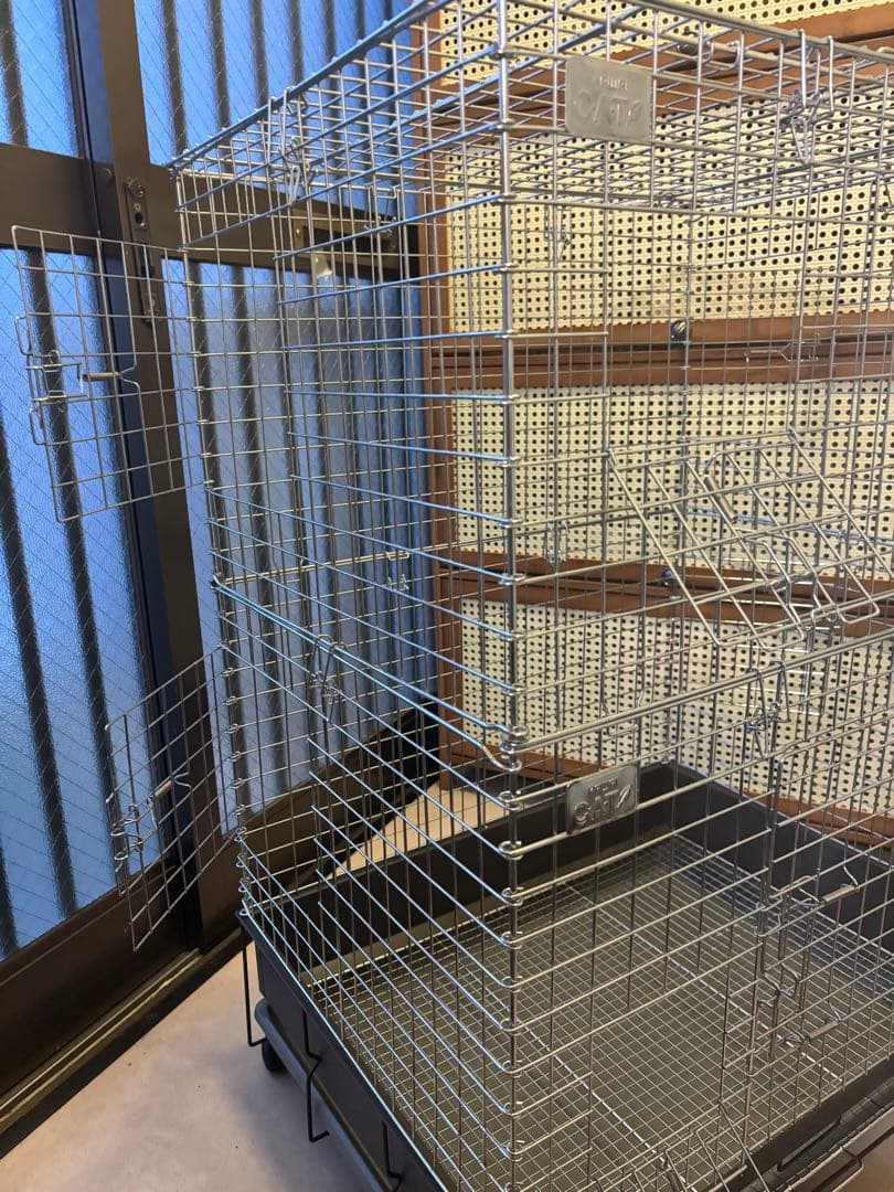 コンフォート60 チンチラスペシャル　カワイ