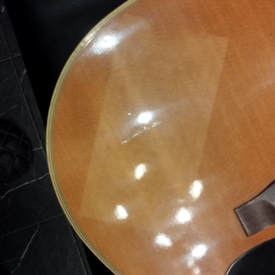 Aria ＆ co アコースティックギター　W-200