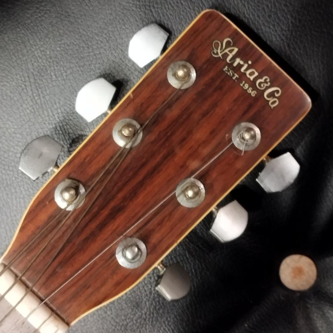 Aria ＆ co アコースティックギター　W-200